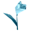Saraswati mag